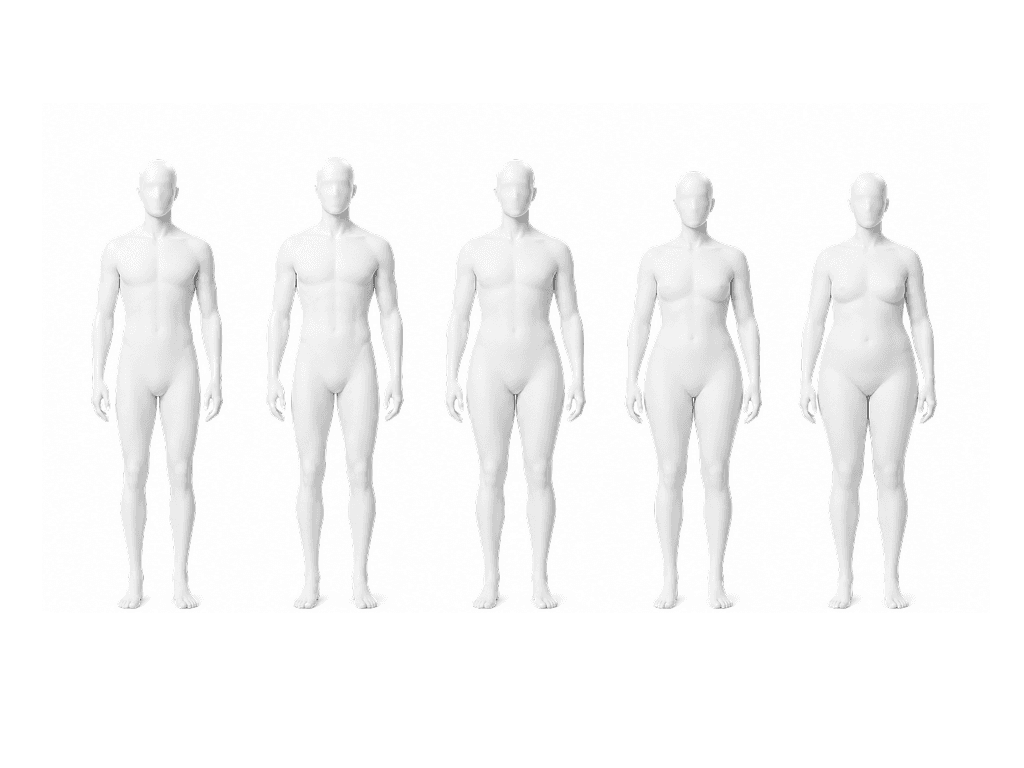 Kibbe body types, explained