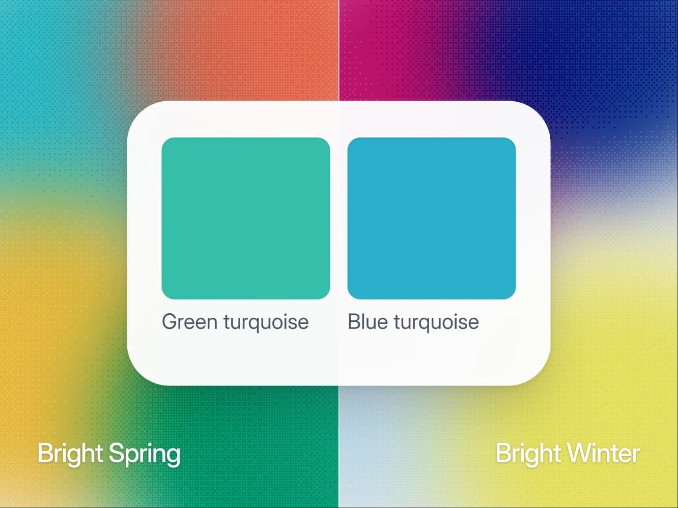 Bright Spring vs Bright Winter: jak poznat, která je tvoje