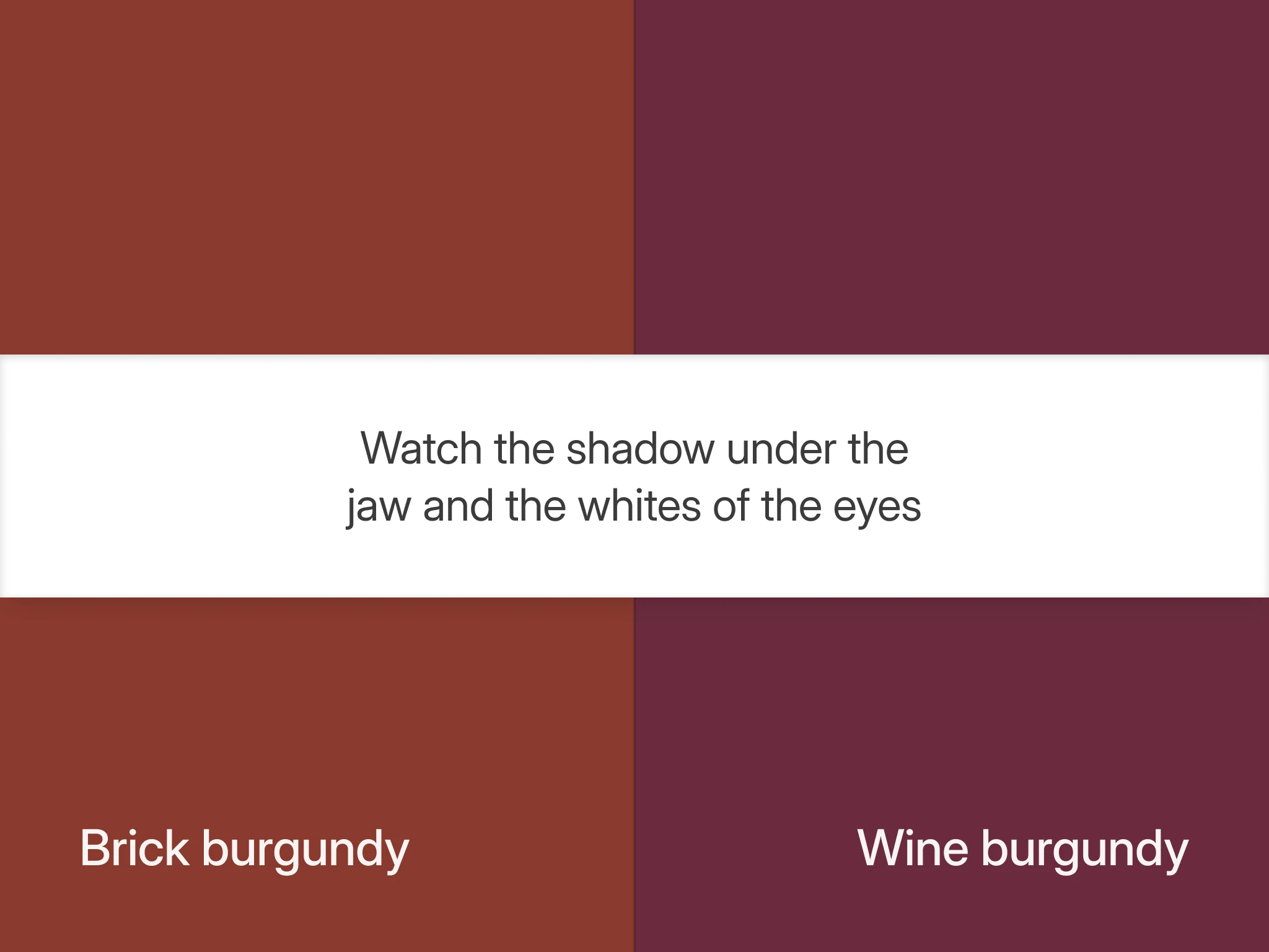 Burgundská do cihlova proti burgundské do vínova na jednom bílém pruhu, domácí test pro Deep Autumn a Deep Winter: sleduj čelist a bělma