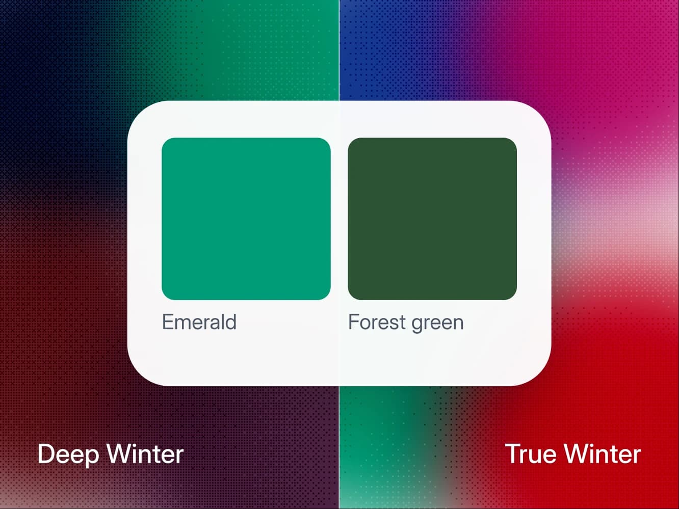 Deep Winter vs True Winter: jak poznat, která je tvoje