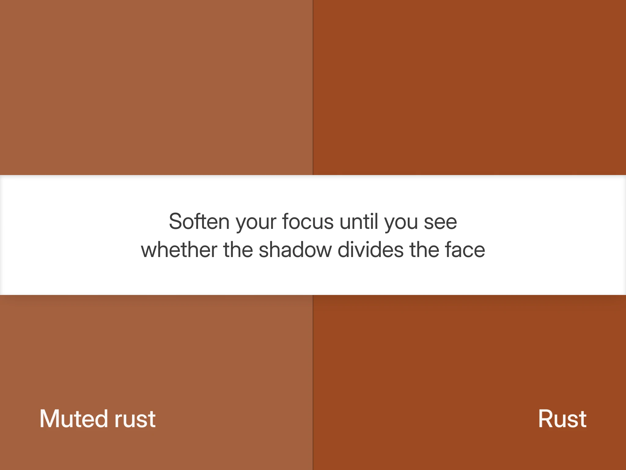 Muted rust against saturated rust on one white band, the home test for Soft Autumn and True Autumn, soften your focus and look again