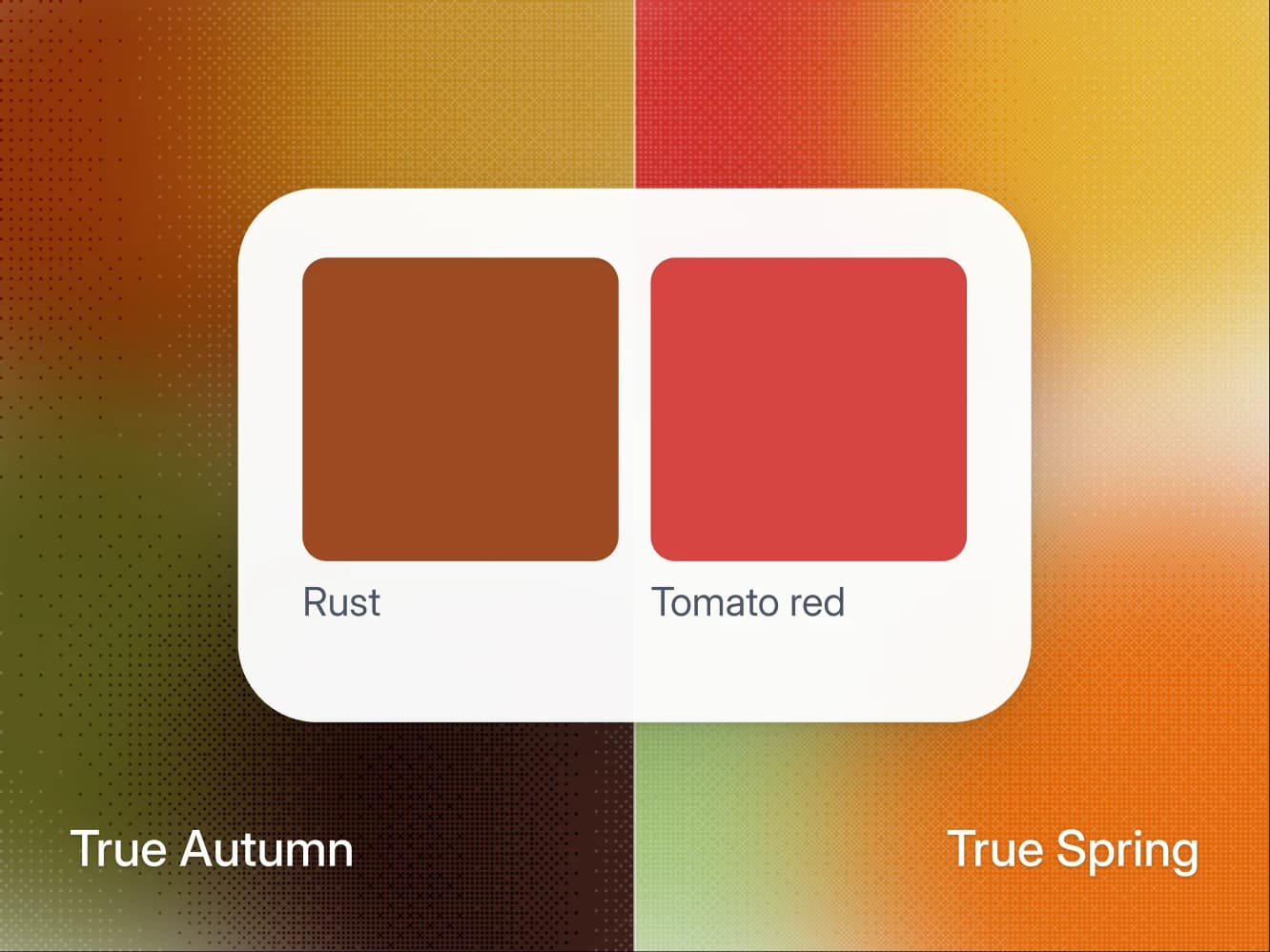 True Autumn vs True Spring: jak poznat, která je tvoje